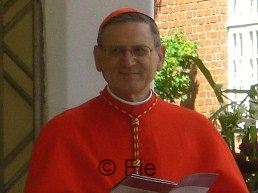 Kardinal Angelo Amato © Fiebig